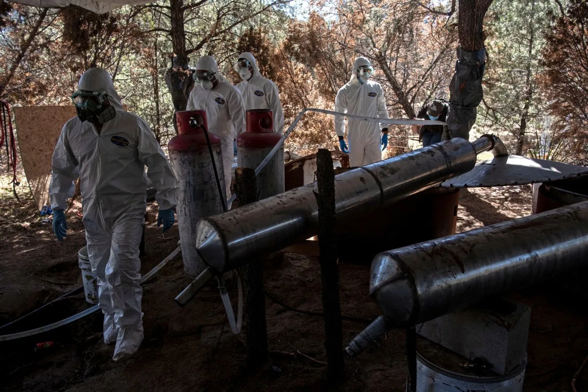 Cartel de Sinaloa amplia produção de metanfetamina na África para atender Oceania