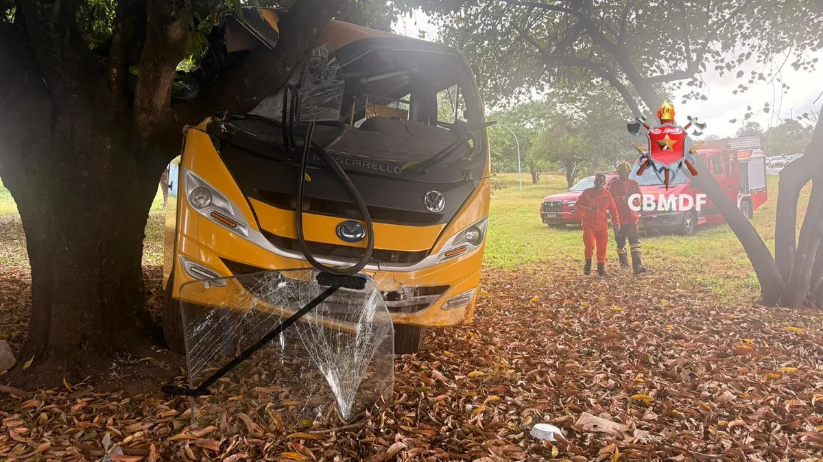 Acidente com ônibus escolar deixa duas crianças hospitalizadas no DF