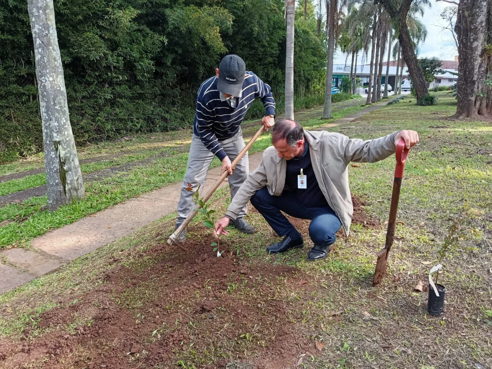 Hospital Ana Nery planta mudas e enterra cápsula para marcar 71 anos