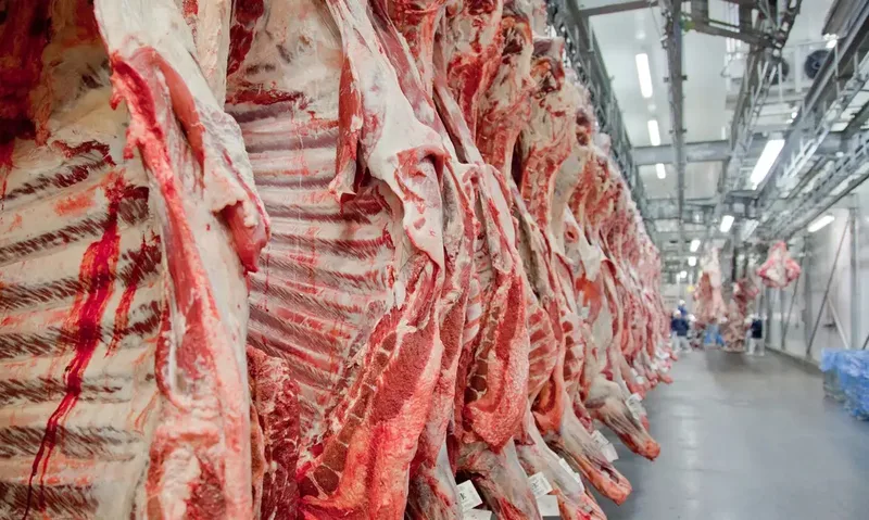 China aplica sobretaxa de 55% à carne bovina brasileira após cota anual