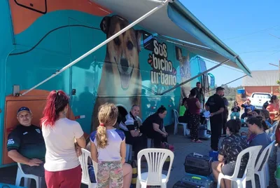Vera Cruz agenda procedimento para cães e gatos em 14 e 15 de novembro