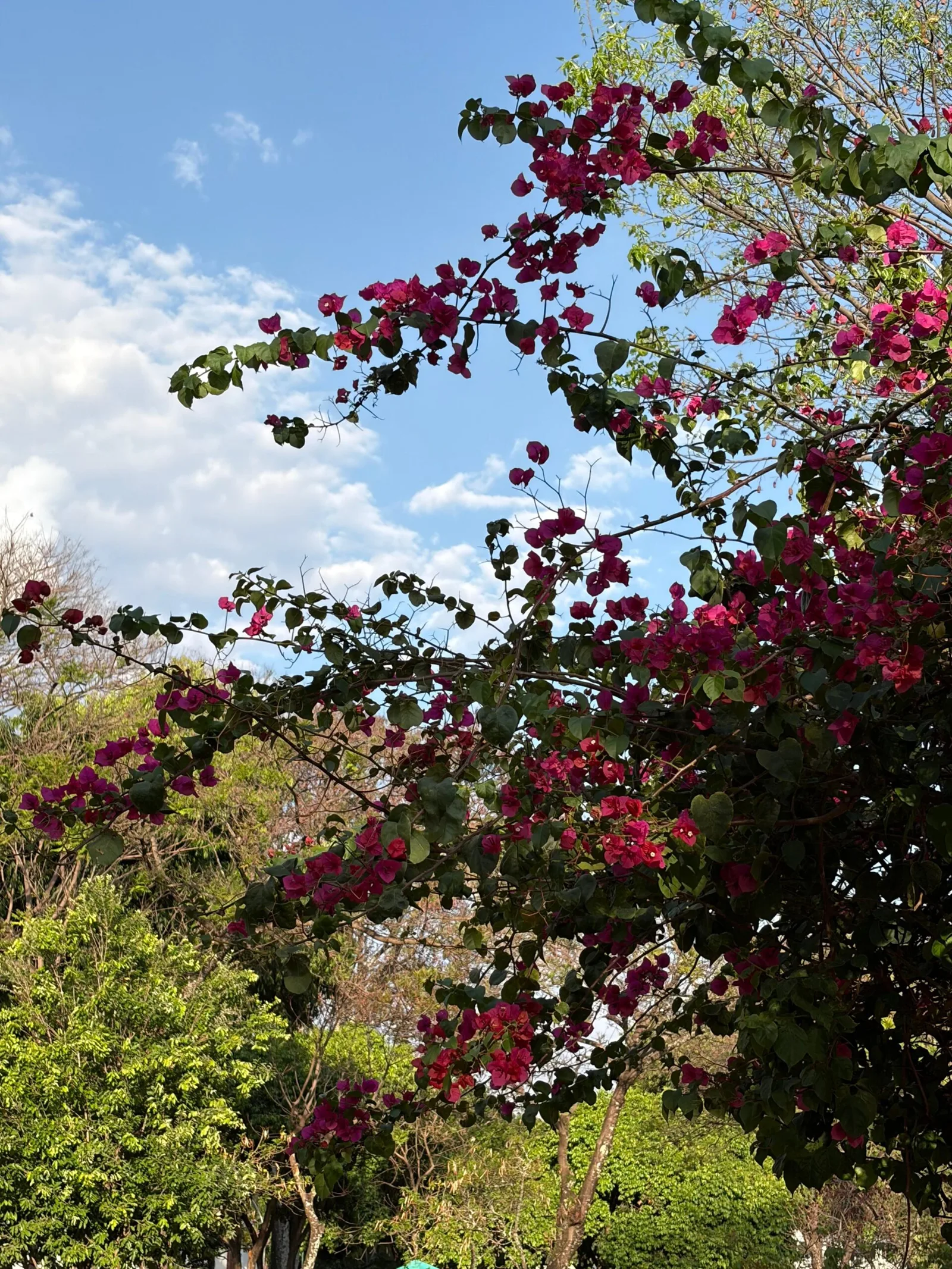 Primavera começa no Distrito Federal com calor e previsão de chuvas isoladas