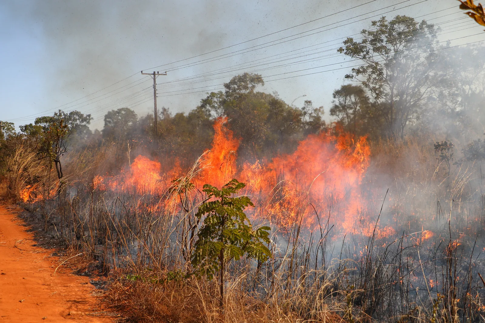 Fumaça de incêndio pode reduzir visibilidade e exige cautela nas vias