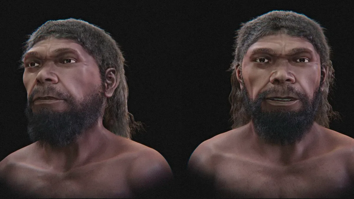 Crânio de Jebel Irhoud reconstitui possível aparência de Homo sapiens antigos