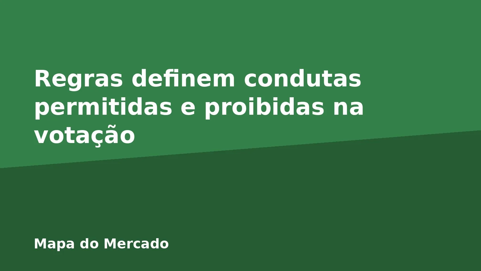 Regras definem condutas permitidas e proibidas na votação