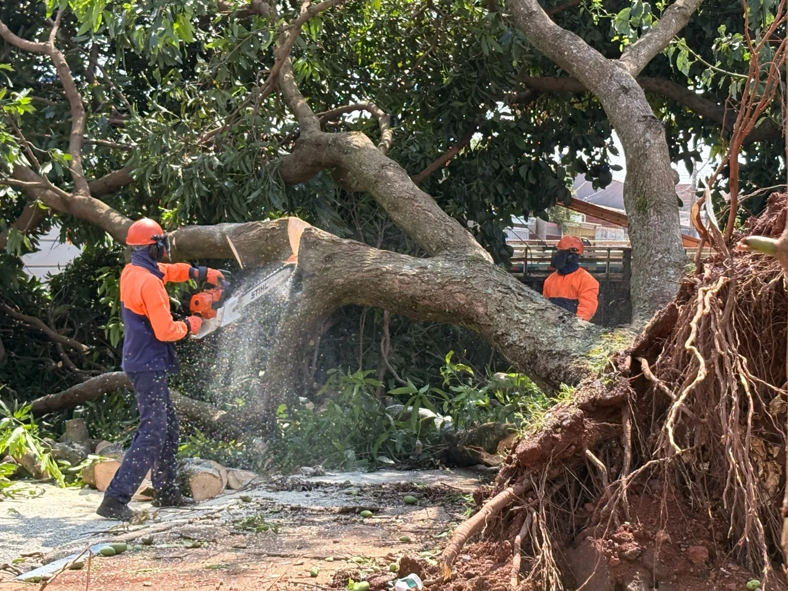 Chuva provoca 62 ocorrências e interdita imóveis no Distrito Federal