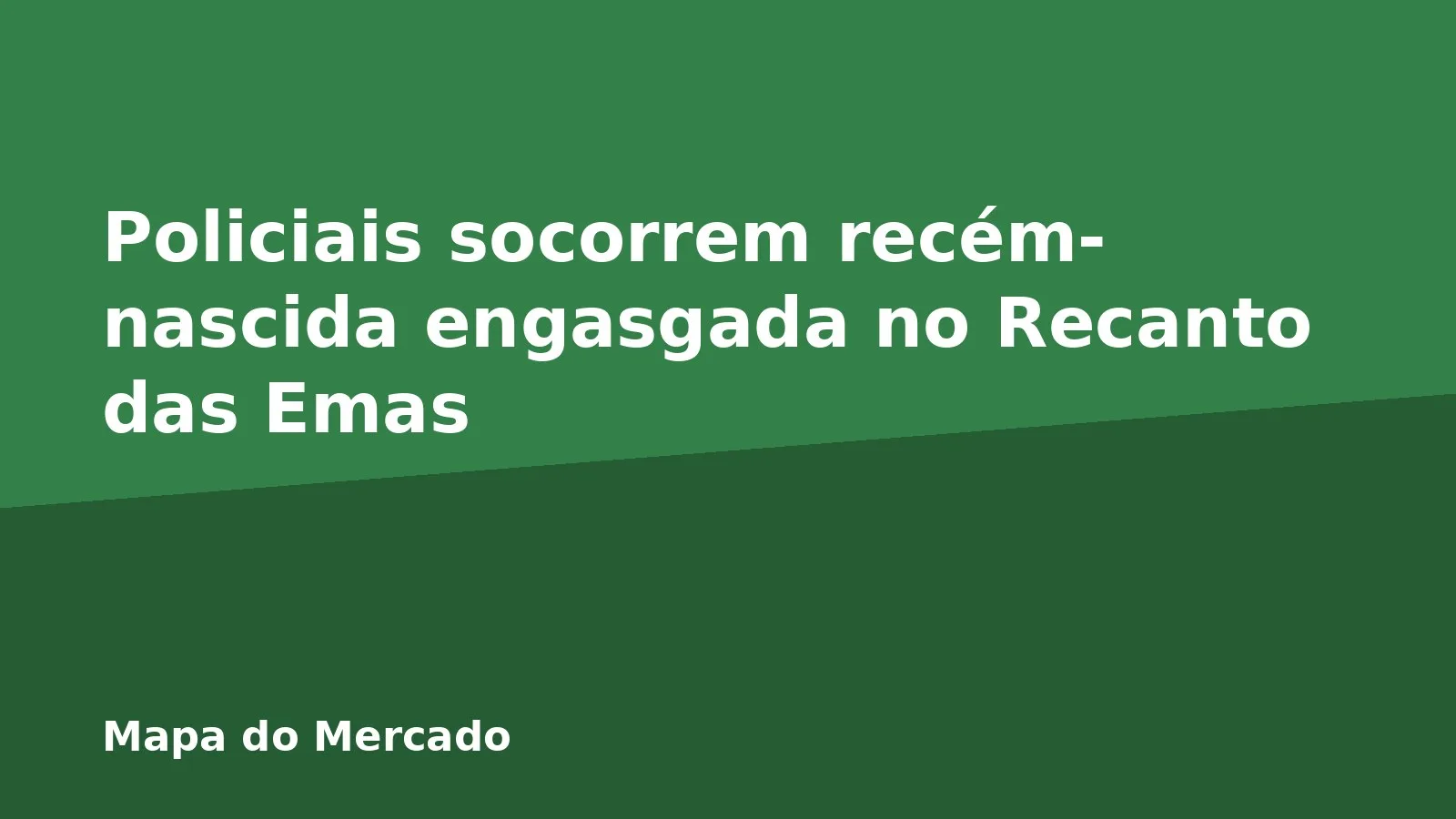 Policiais socorrem recém-nascida engasgada no Recanto das Emas