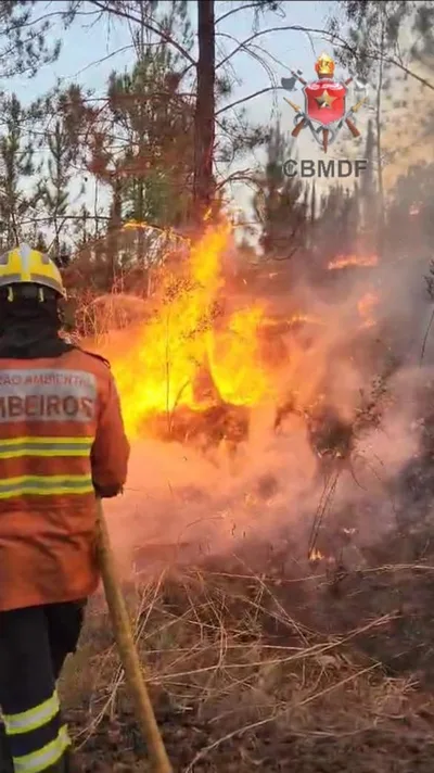 TJDFT confirma pena por incêndio em área de proteção no Park Way