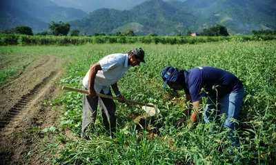 Nova lei torna obrigatório apoio ao seguro rural e reformula Fundo Catástrofe