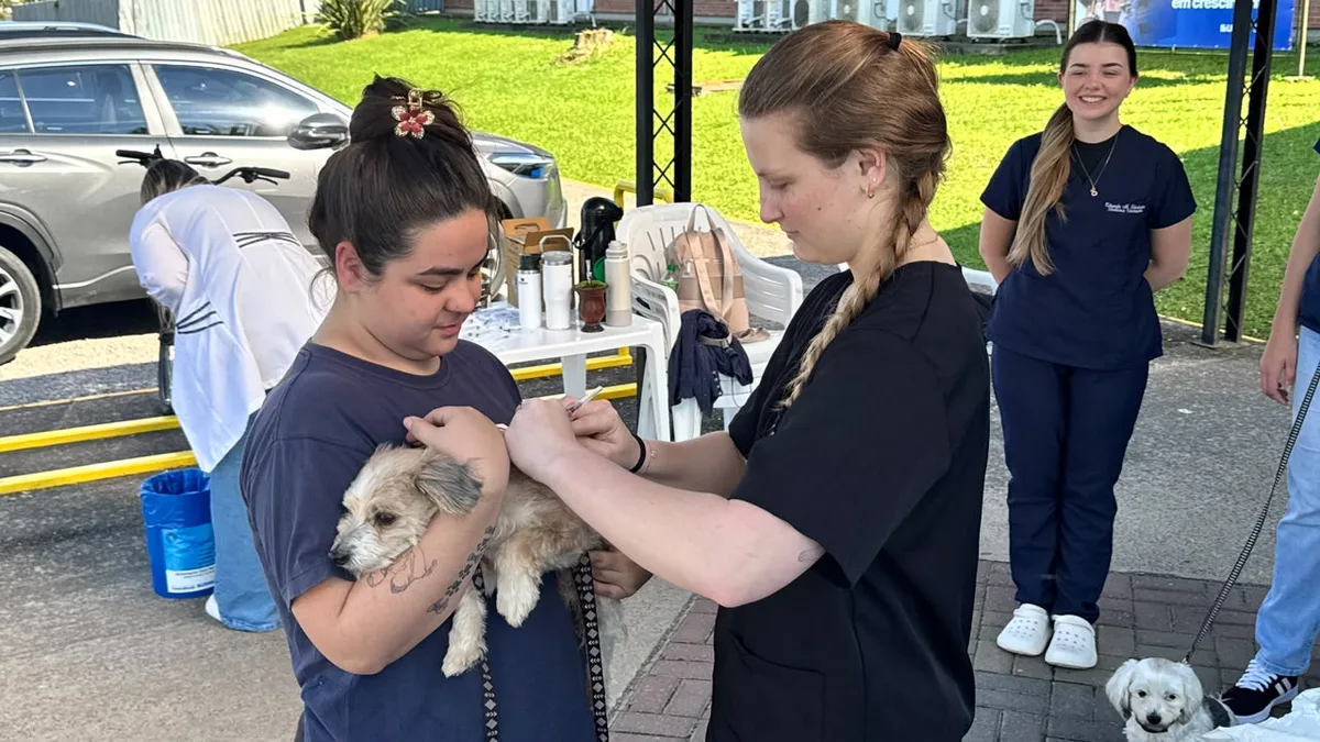 Santa Cruz do Sul oferece vacinação antirrábica para cães e gatos