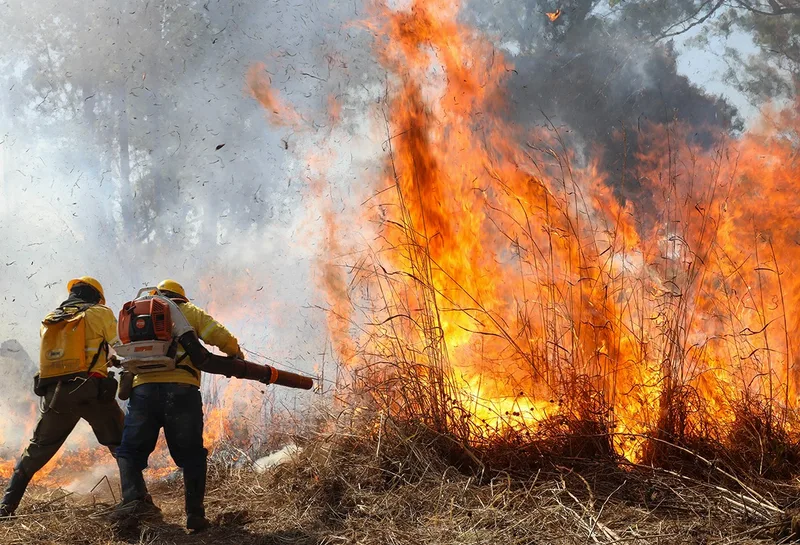 Distrito Federal registra 30 incêndios em vegetação até as 18h