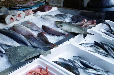 Tambaqui registra queda de 6,10% no atacado da Ceagesp
